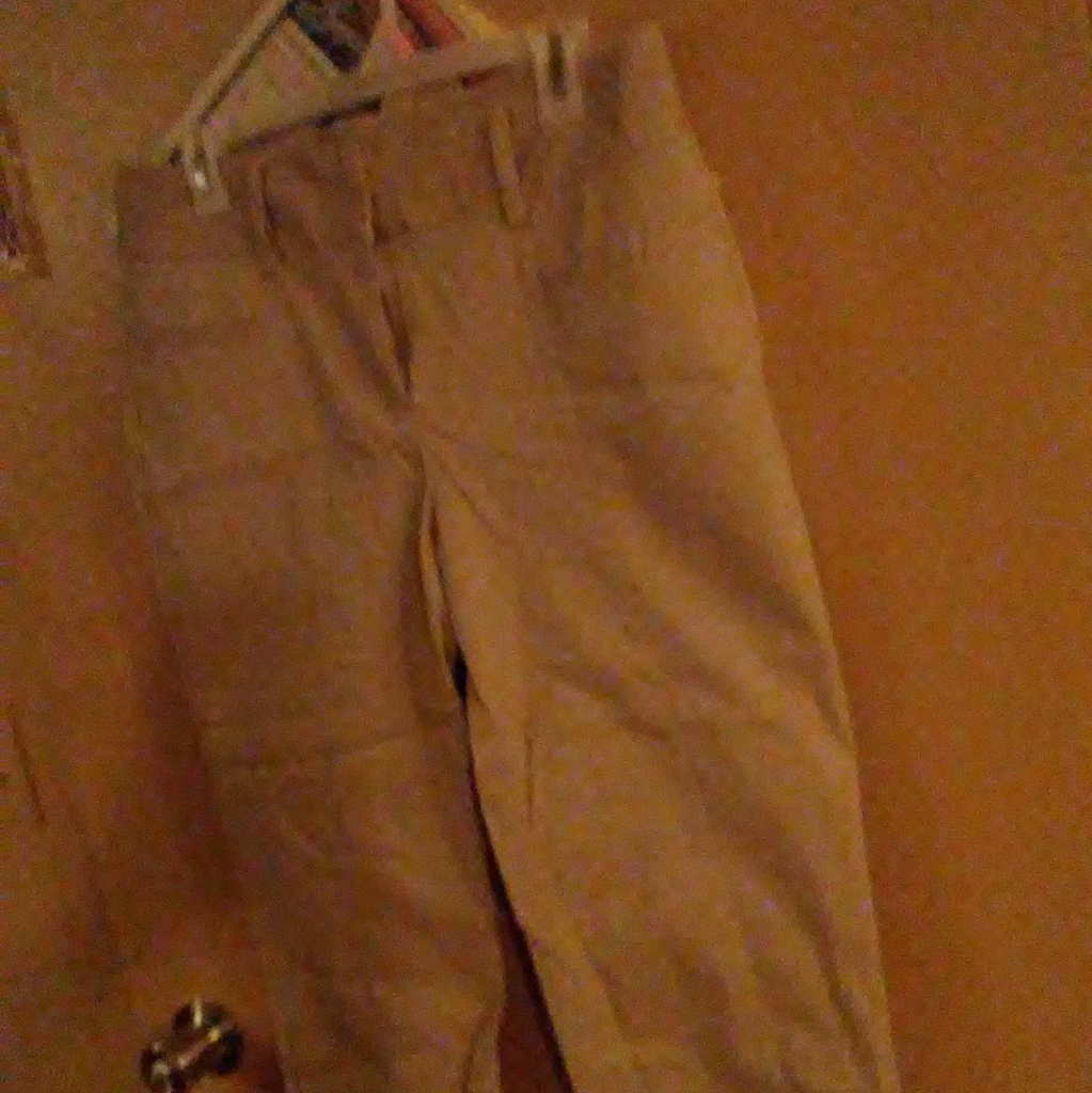 Dana Buckman Khaki Capris (10)